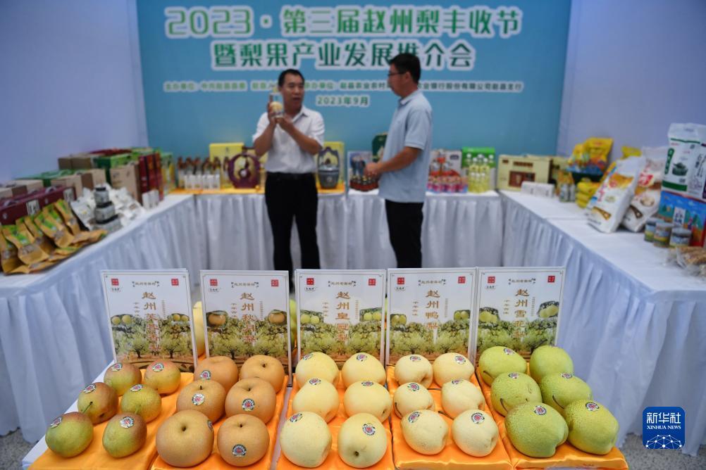 扑鱼达人游戏在线玩